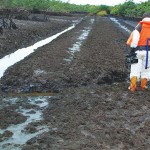 Ogoni Cleanup: Communities, CSOs seek more collaboration