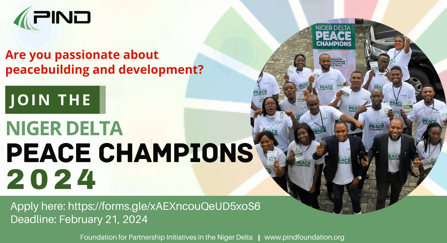 Call for Application : 2024 Niger Delta Peace Champions Program at PIND Foundation