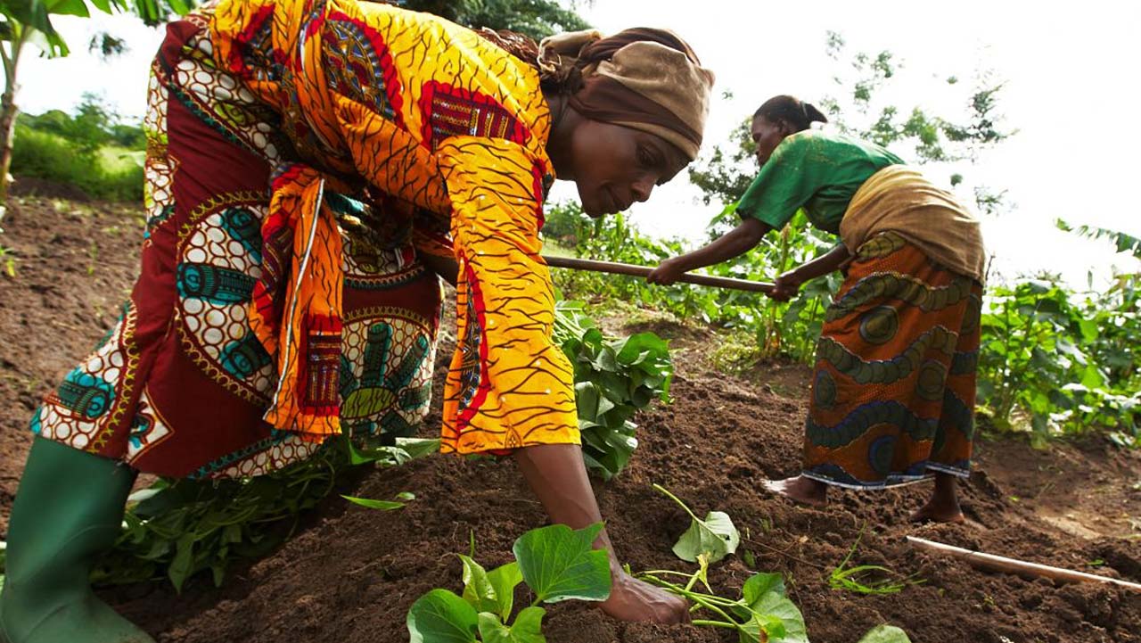 Akwa Ibom Trains 100 Youths for Ongoing Songhai Farm Project