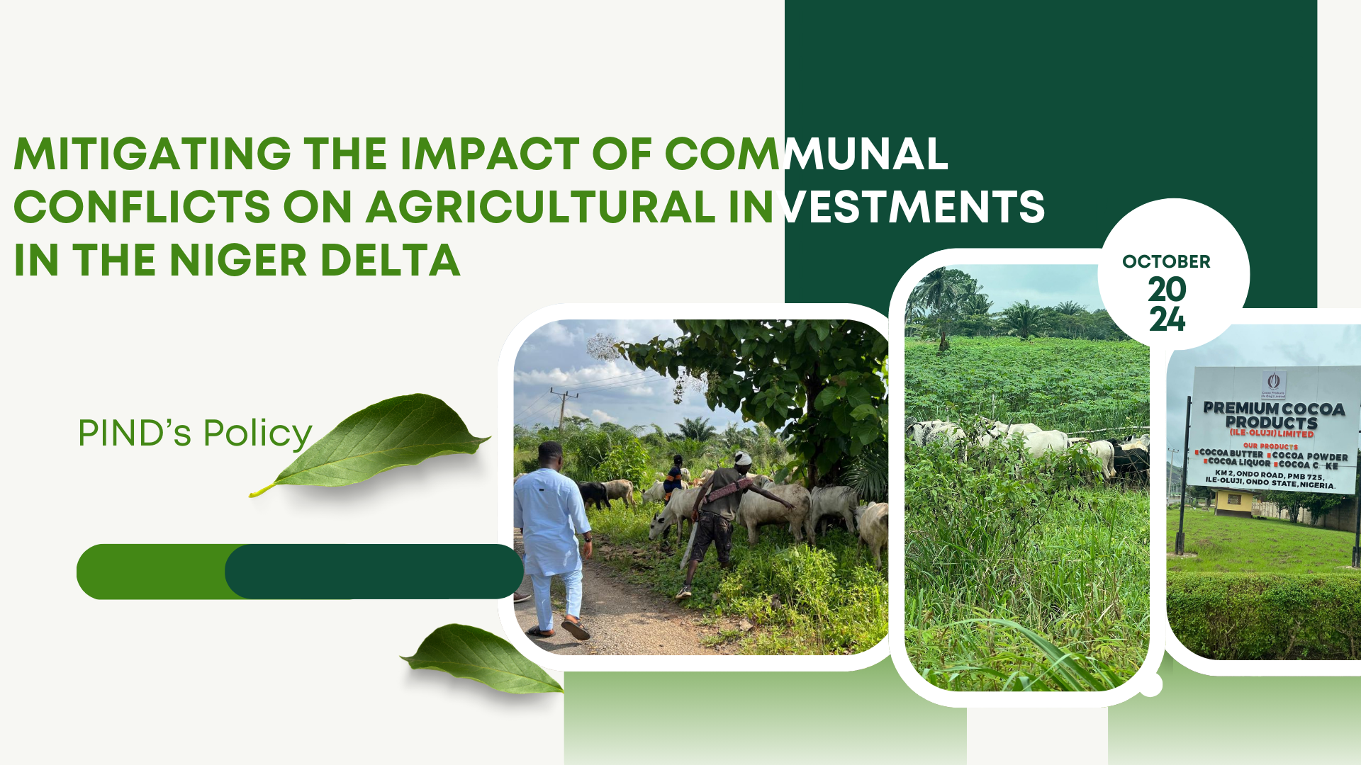 PIND’s Policy Brief- Mitigating the Impact of Communal Conflicts on Agricultural Investments in the Niger Delta – October 2024