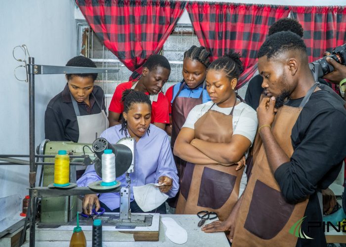 MaryAnn-Metuh-PIND-NDYEP-2