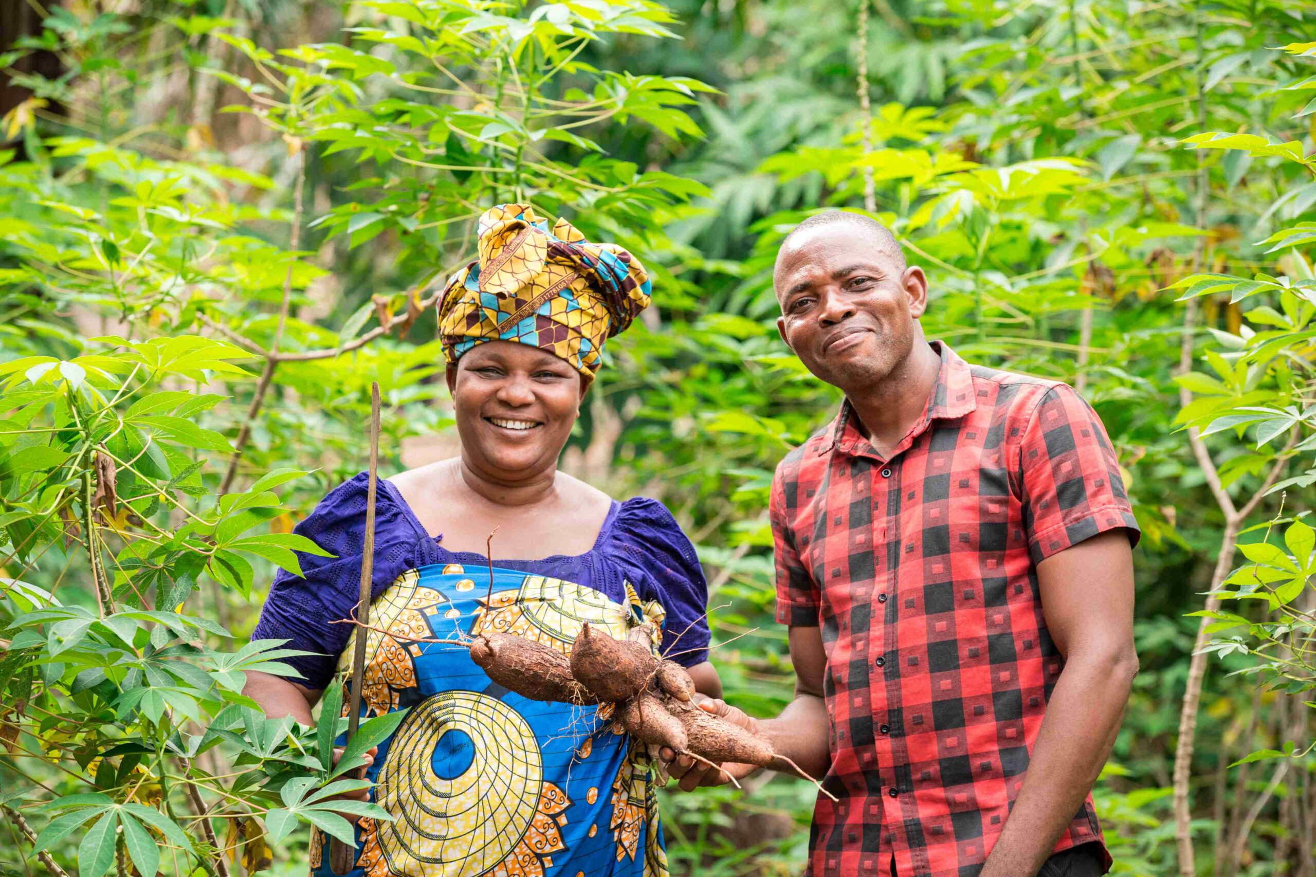 Assessing the Shift Toward Climate-Smart Solutions in the Niger Delta