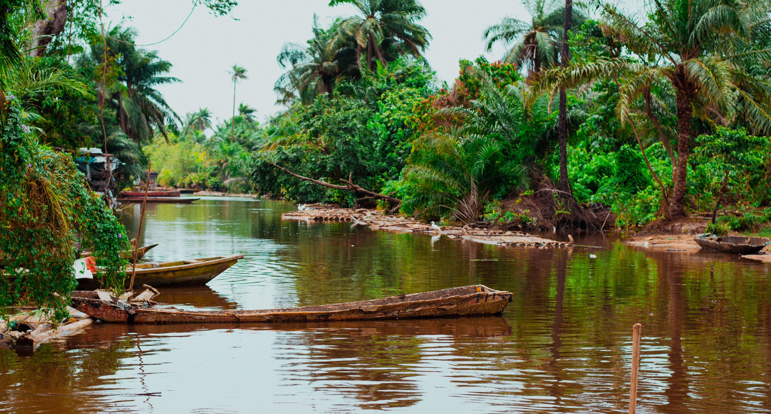 Rivers State’s Blue Economy Offers Untapped Opportunities for Jobs, Food Security